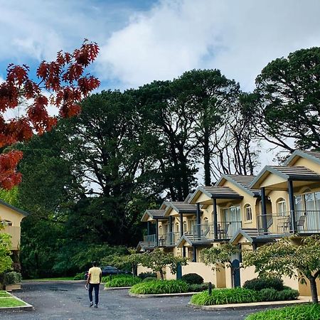 Falls Mountain Retreat Blue Mountains Wentworth Falls Εξωτερικό φωτογραφία