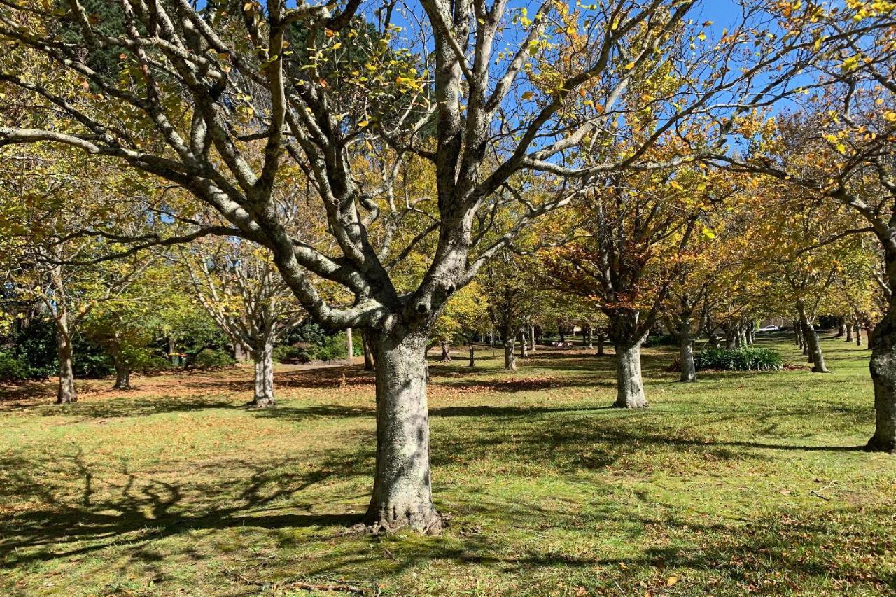Falls Mountain Retreat Blue Mountains Wentworth Falls Εξωτερικό φωτογραφία