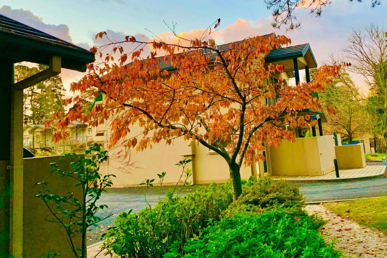 Falls Mountain Retreat Blue Mountains Wentworth Falls Εξωτερικό φωτογραφία