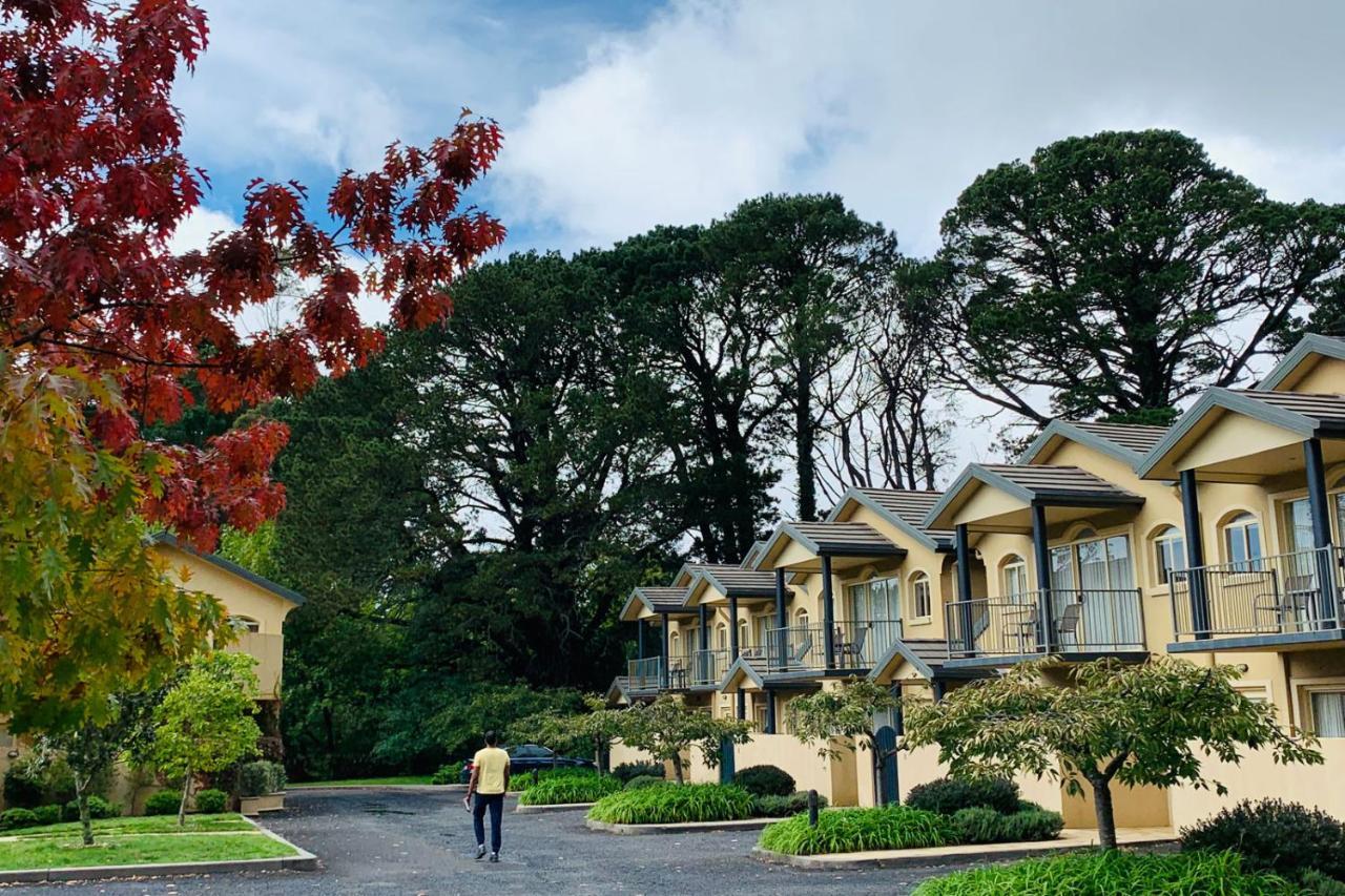 Falls Mountain Retreat Blue Mountains Wentworth Falls Εξωτερικό φωτογραφία